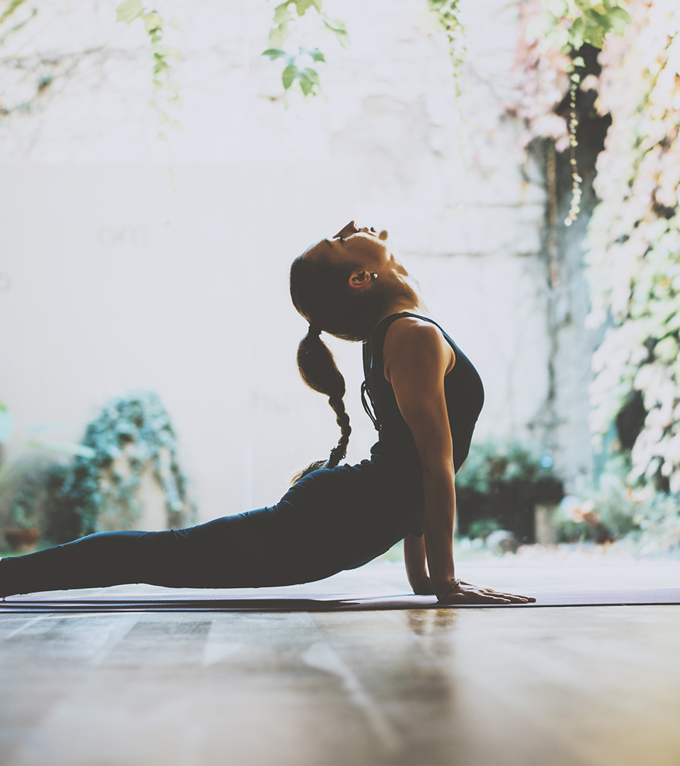 ヨガ | ドッグライフサポート | 群馬県 | 伊勢崎市 | ドッグラン