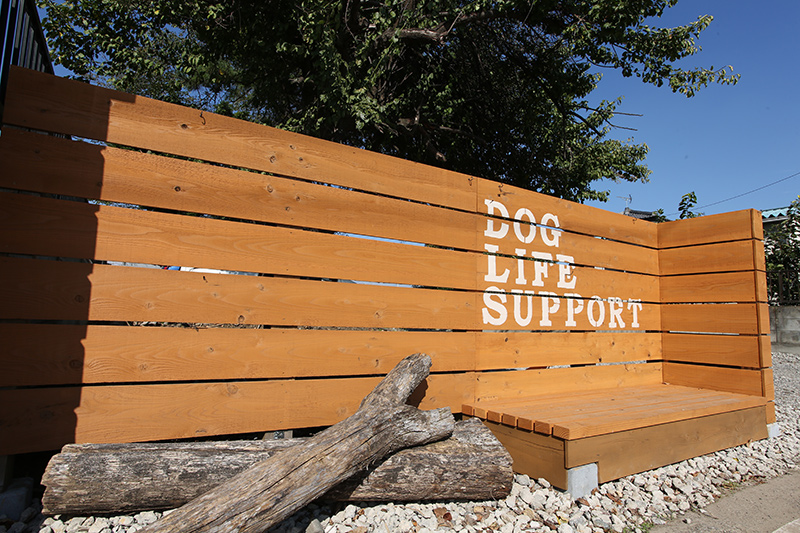 DOG LIFE SUPPORT | 店舗風景 | ドッグライフサポート | 群馬県 | 伊勢崎市 | ドッグラン
