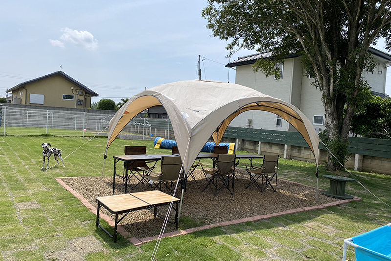 DOG LIFE SUPPORT | 店舗風景 | ドッグライフサポート | 群馬県 | 伊勢崎市 | ドッグラン