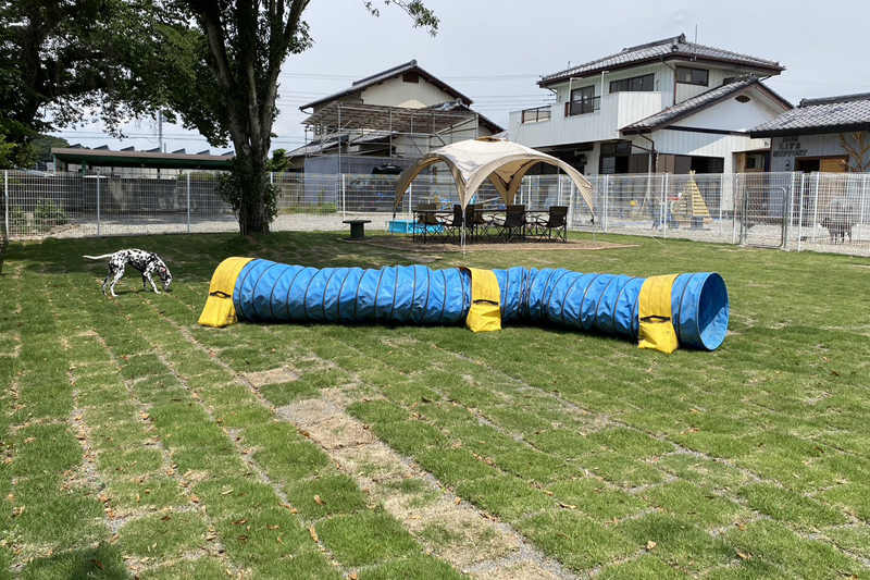 DOG LIFE SUPPORT | 店舗風景 | ドッグライフサポート | 群馬県 | 伊勢崎市 | ドッグラン