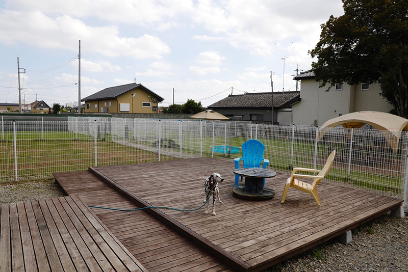 DOG LIFE SUPPORT | 店舗風景 | ドッグライフサポート | 群馬県 | 伊勢崎市 | ドッグラン