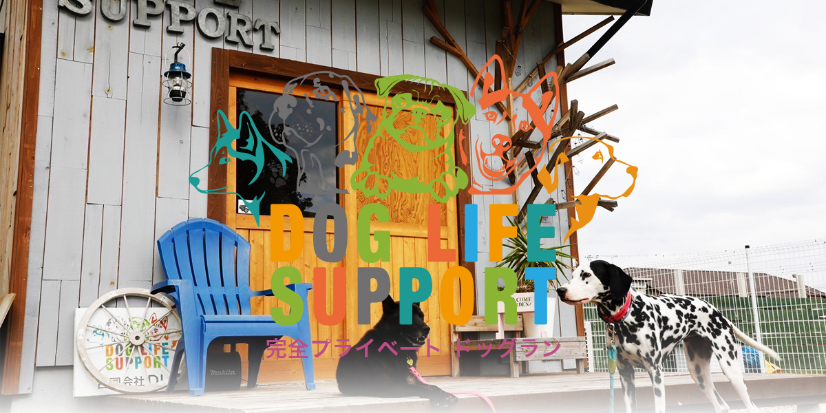 DOG LIFE SUPPORT | ドッグライフサポート | 群馬県 | 伊勢崎市 | ドッグラン