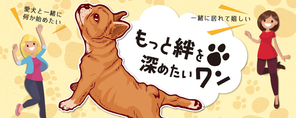 DOG LIFE SUPPORT | 群馬県 | 伊勢崎市 | ドッグラン